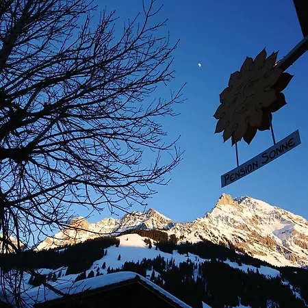 Guest house Sonne