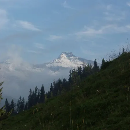 Sonne Guest house Adelboden